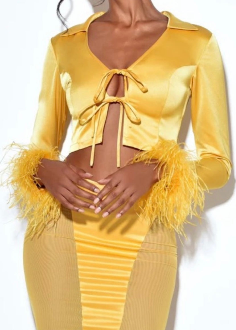 Golden Fairy Feather Skirt Set