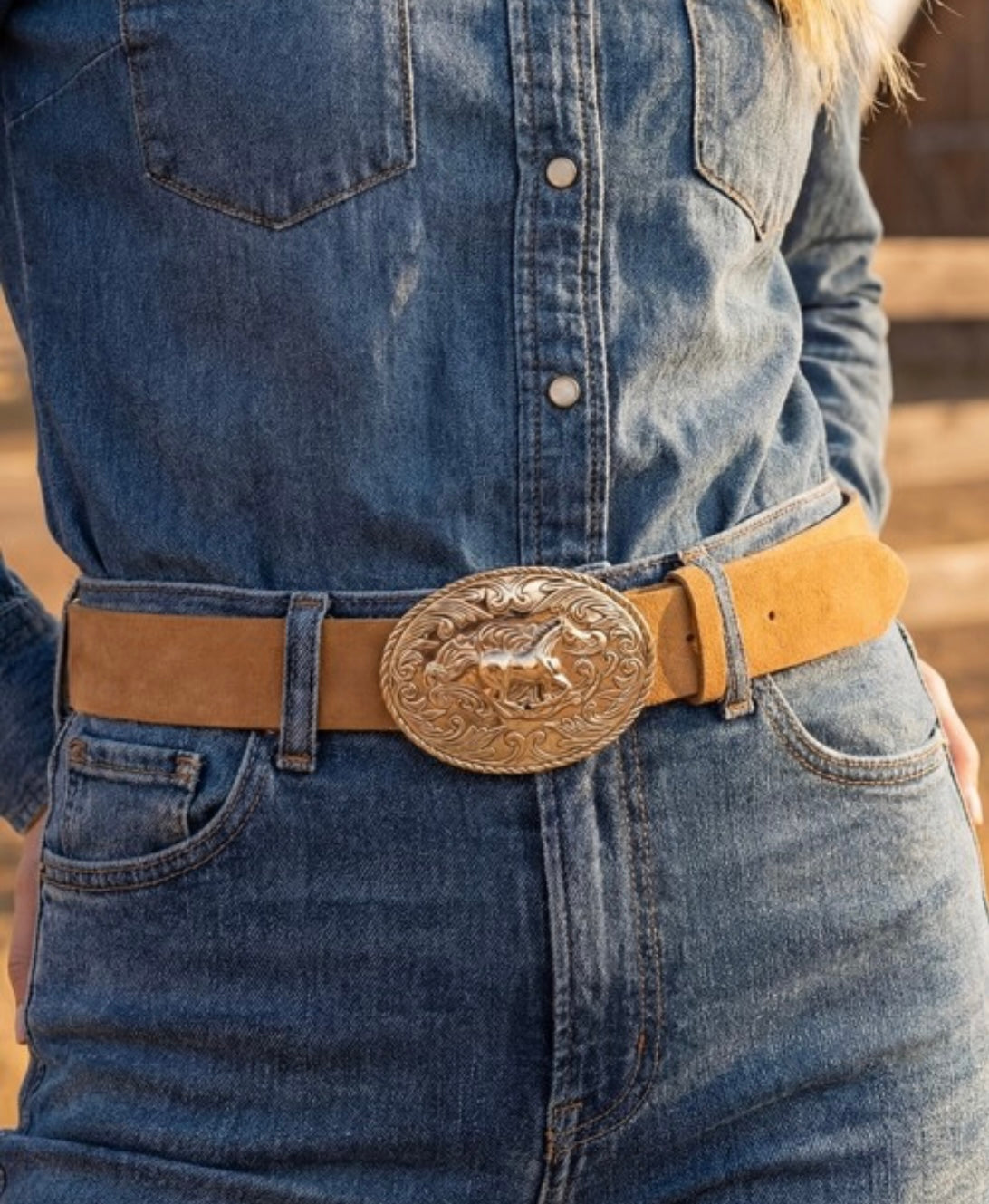 Ride along horse buckle belt