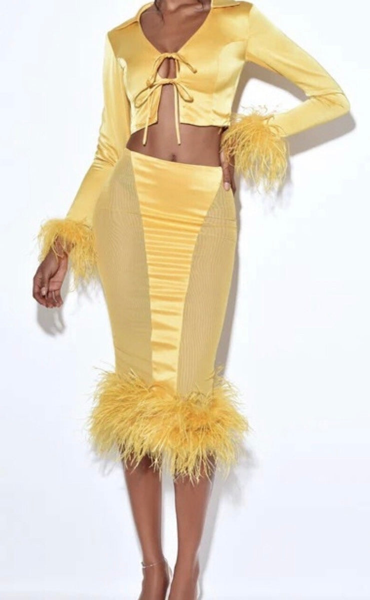 Golden Fairy Feather Skirt Set