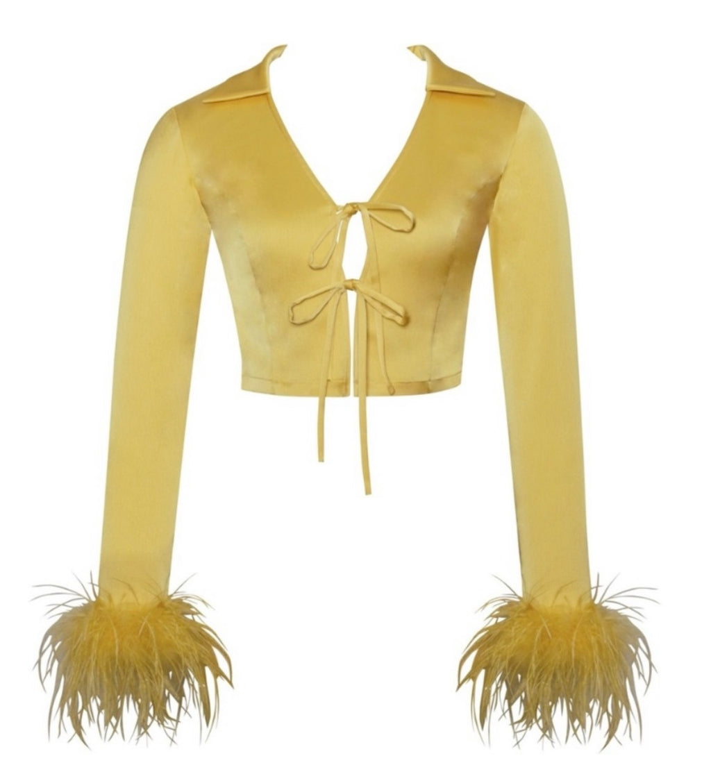 Golden Fairy Feather Skirt Set