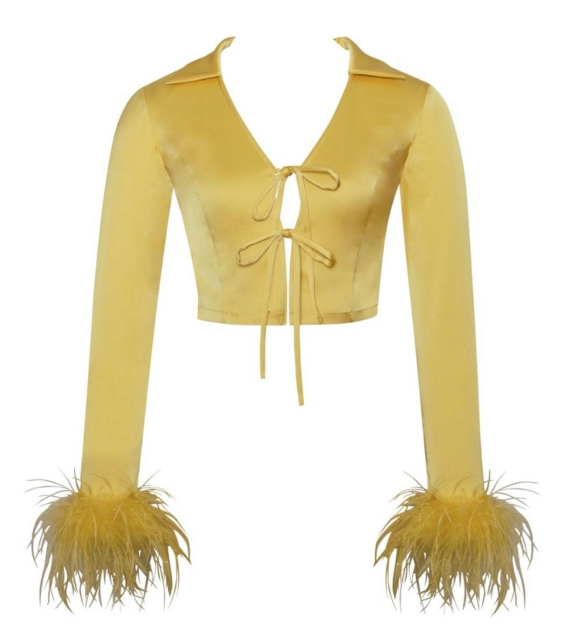 Golden Fairy Feather Skirt Set