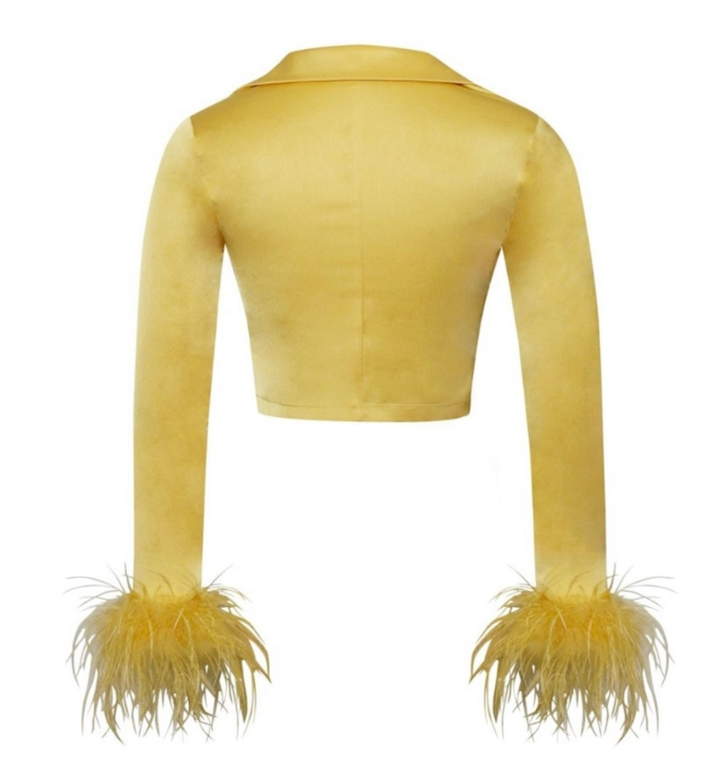 Golden Fairy Feather Skirt Set