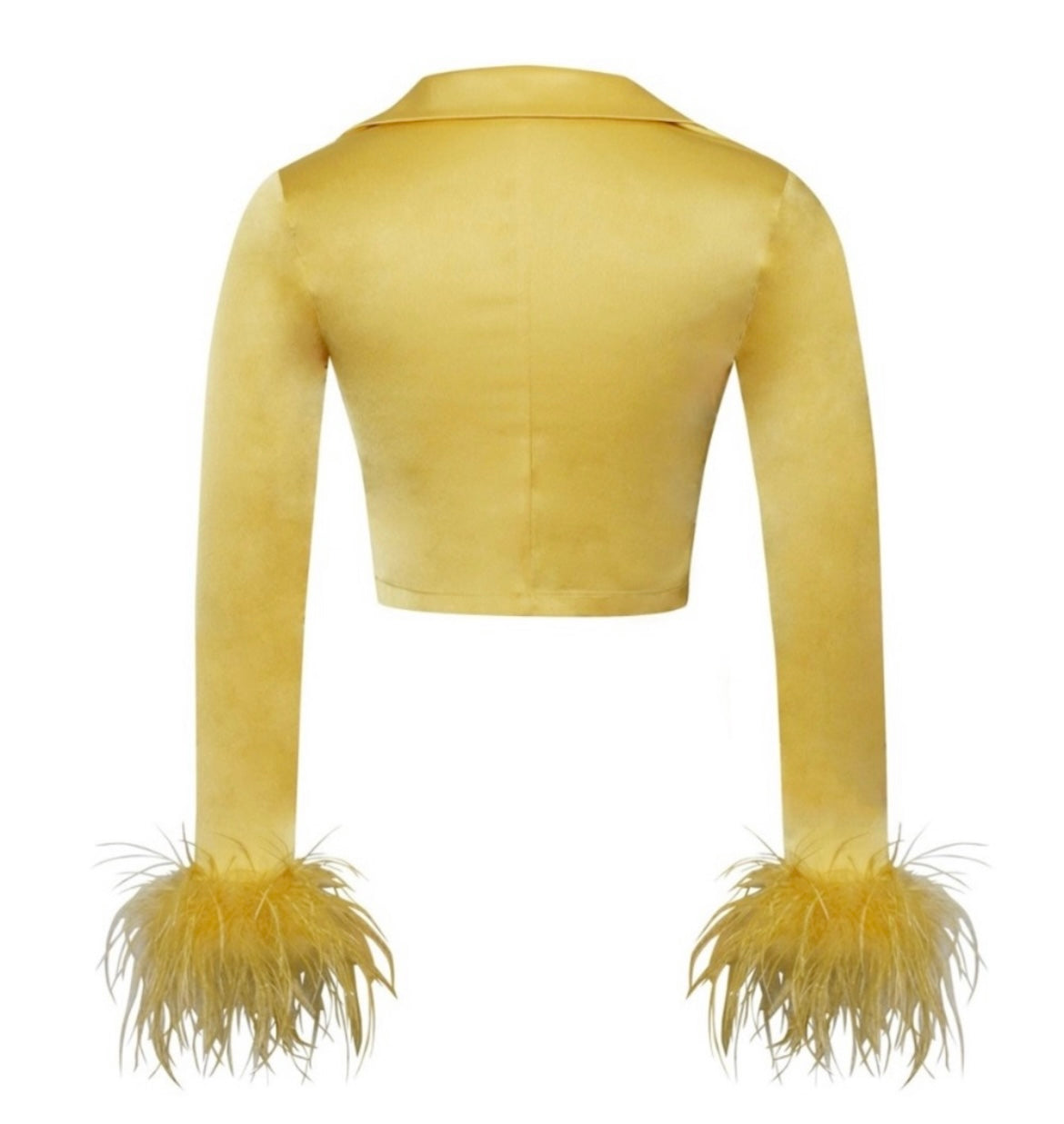 Golden Fairy Feather Skirt Set